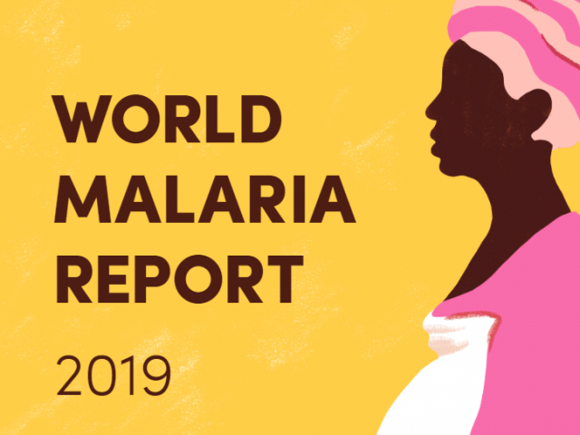 World Malaria Report Cover illustration